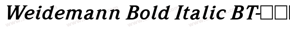 Weidemann Bold Italic BT字体转换